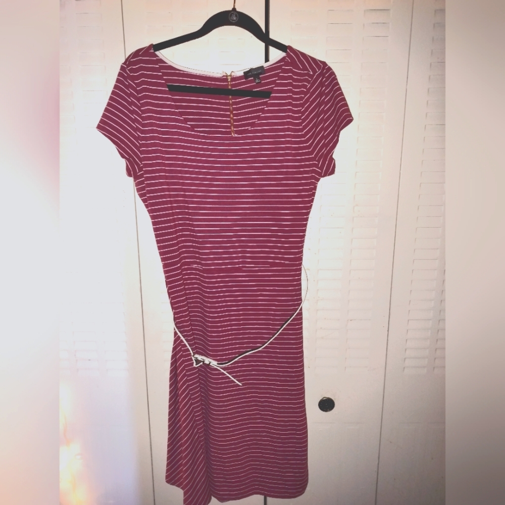 SS Striped Dress with Belt THE LIMITED Size L